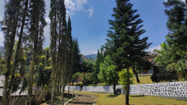 IMG-20240430-WA0043