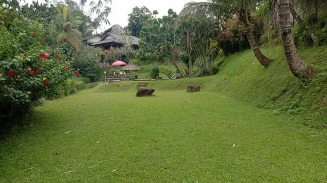IMG-20240610-WA0081