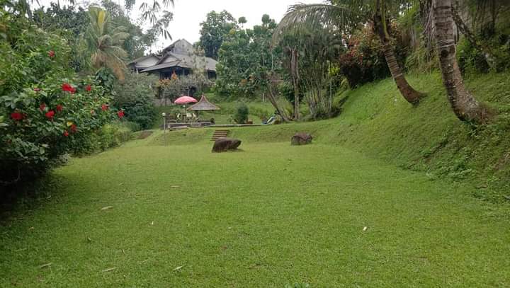 IMG-20240610-WA0081