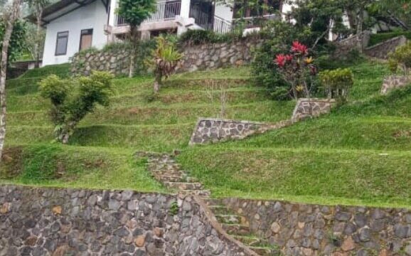 IMG-20240829-WA0220