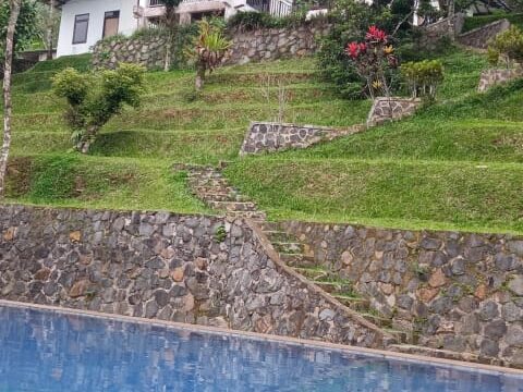 IMG-20240829-WA0229