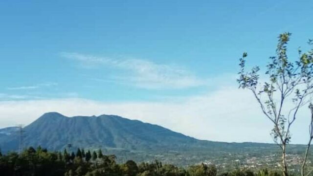 IMG-20240829-WA0232