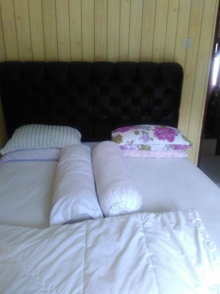 IMG-20240906-WA0024
