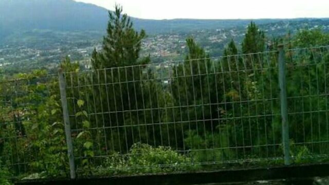 IMG-20240906-WA0048
