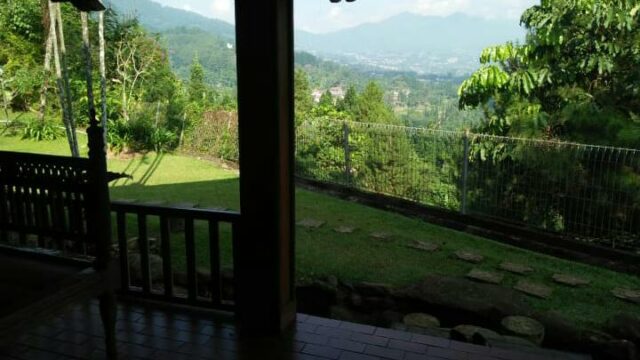 IMG-20240906-WA0051