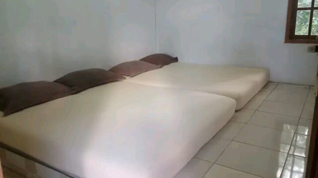 IMG-20240906-WA0053