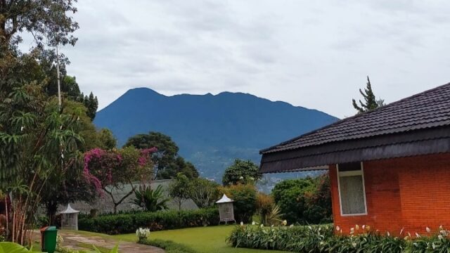 IMG-20240919-WA0023