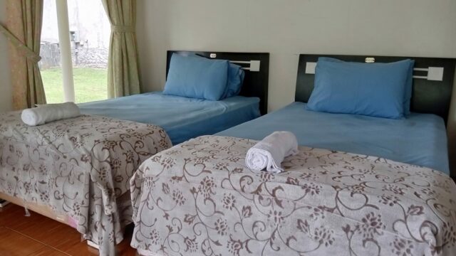 IMG-20240920-WA0012