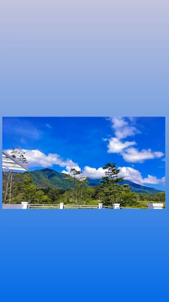 IMG-20241103-WA0067