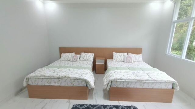 IMG-20241105-WA0007