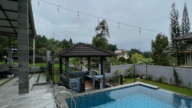IMG-20241105-WA0014