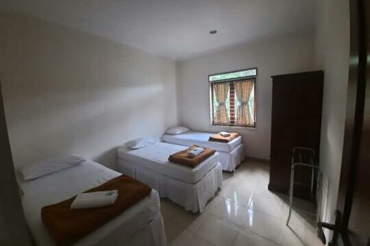 IMG-20241115-WA0011