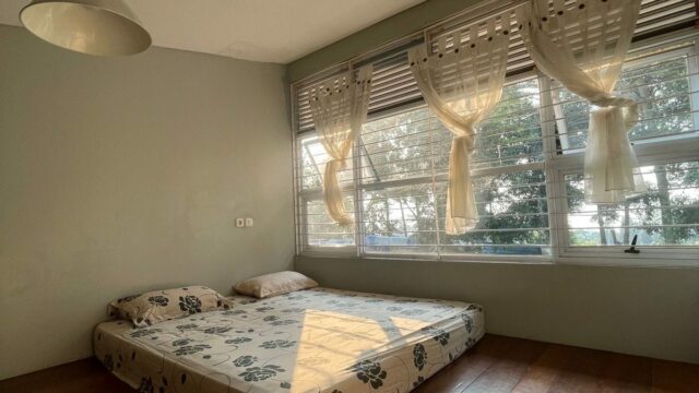 IMG-20241117-WA0012