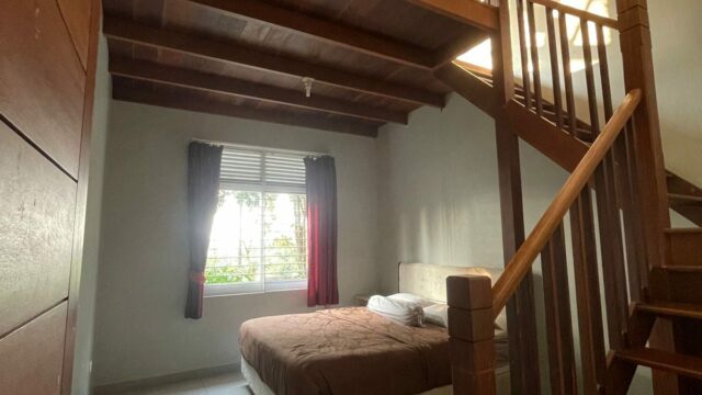 IMG-20241117-WA0015