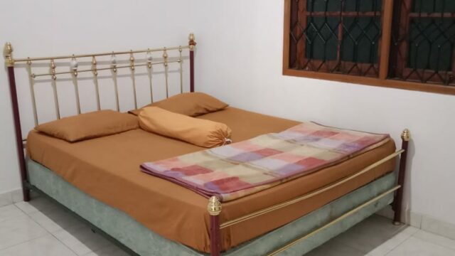 IMG-20241117-WA0021