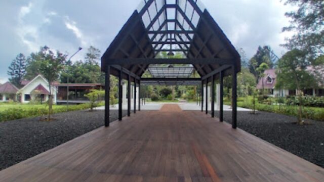 IMG-20241117-WA0046-1