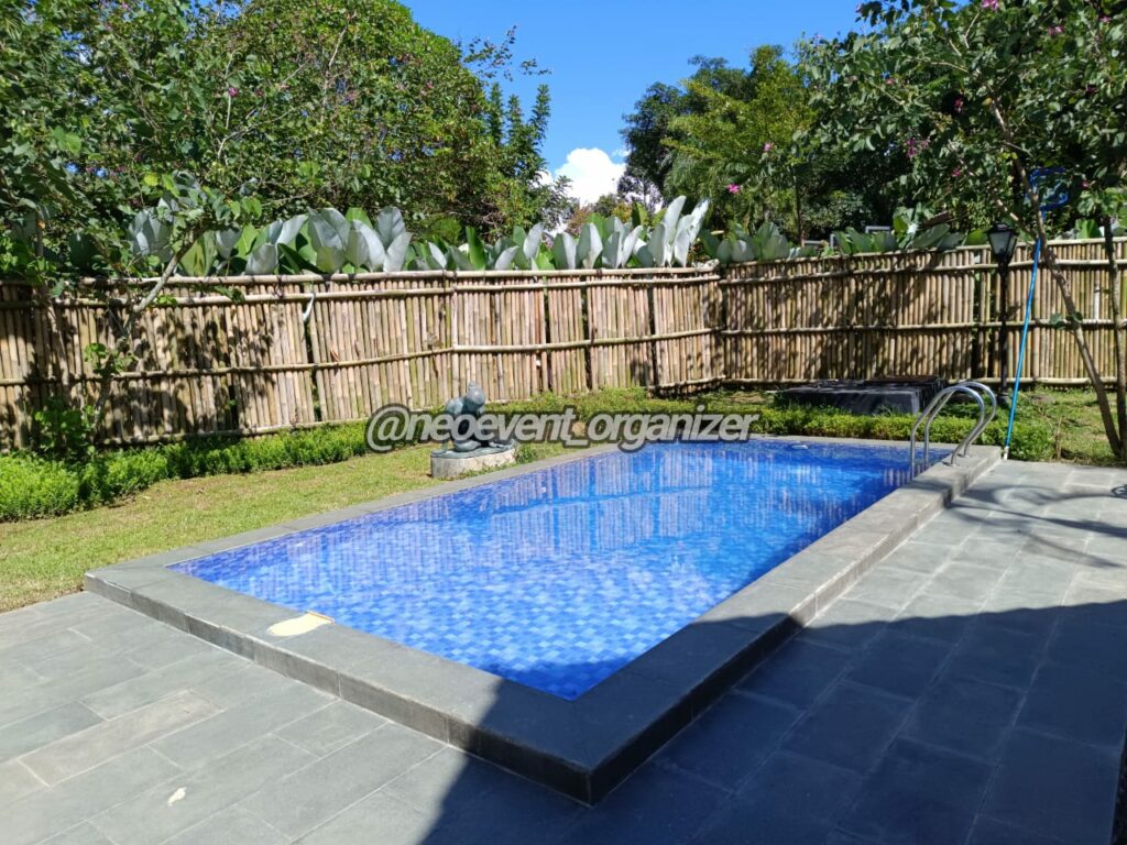 IMG-20241117-WA0059-1