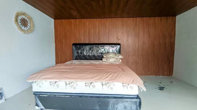 IMG-20241121-WA0022