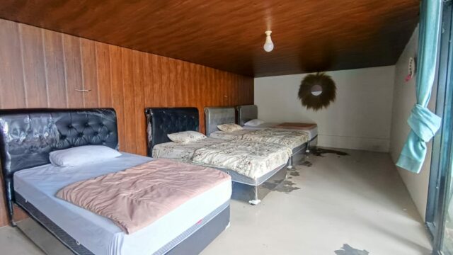 IMG-20241121-WA0031