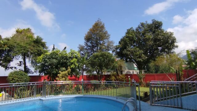 IMG-20250227-WA0022