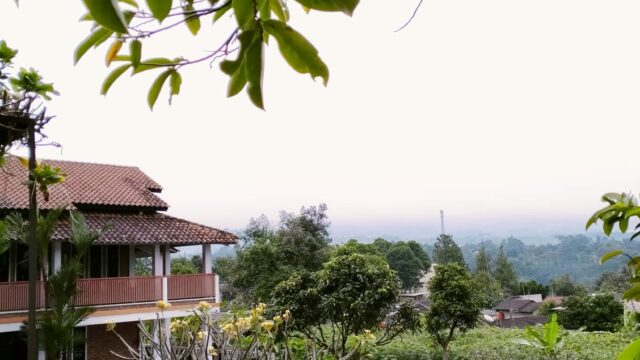 IMG-20250411-WA0102